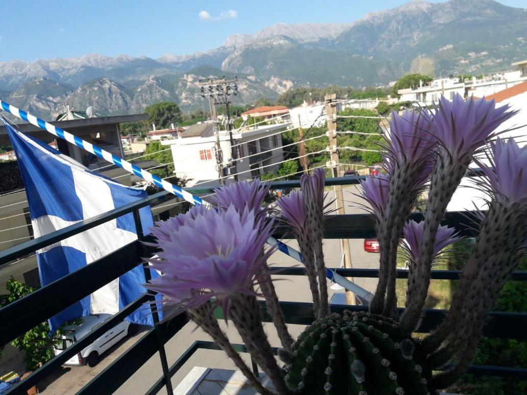 Hellas Palace Room Private สปาร์ติ ภายนอก รูปภาพ